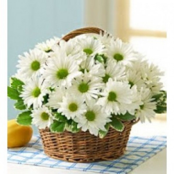 Blooming Daisy Basket